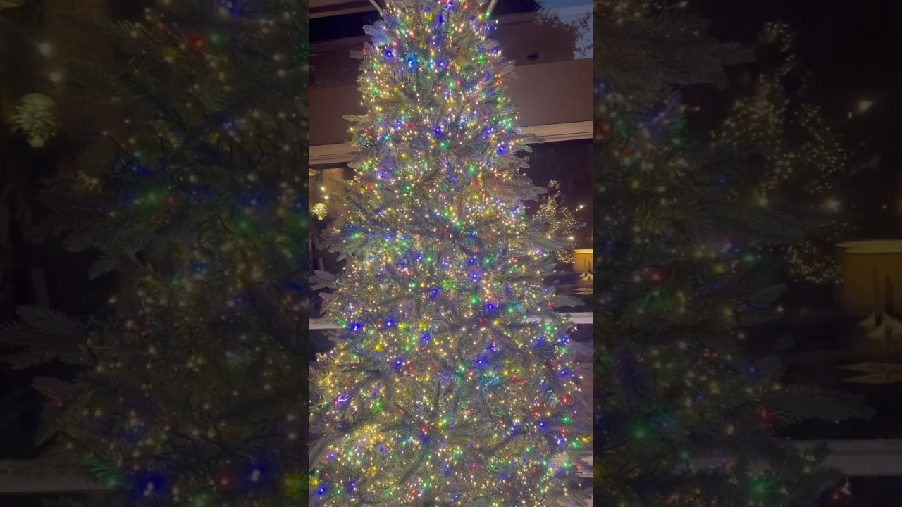 Over 10,000 Christmas Lights! Combining Multi-Color Lights and Cluster Lights #trends #2024