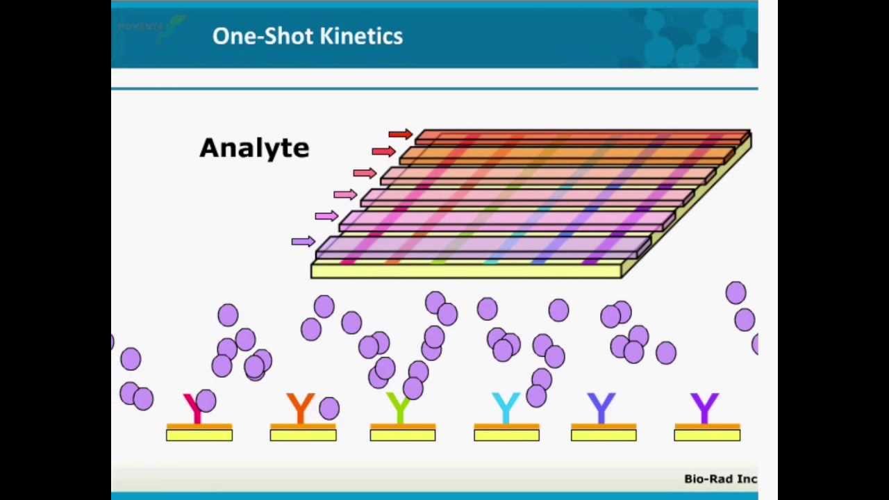 Histidine-Tagged Protein Capture Using the ProteOn&trade; XPR36 System