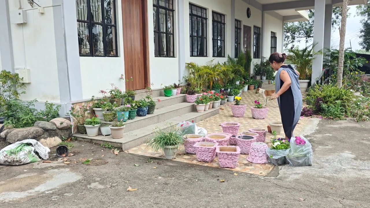 Aiom phuh ki tiew dieng,thung syntiew bad pynkhuid#flowergarden#villagevlogs#vlogs#cookingchannel.