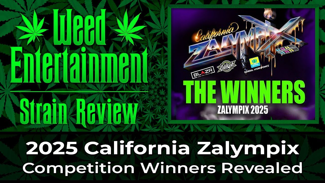 Конкурс California Zalympix 2025 &mdash; Победители конкурса &mdash; 26 сортов &mdash; Февраль 2025