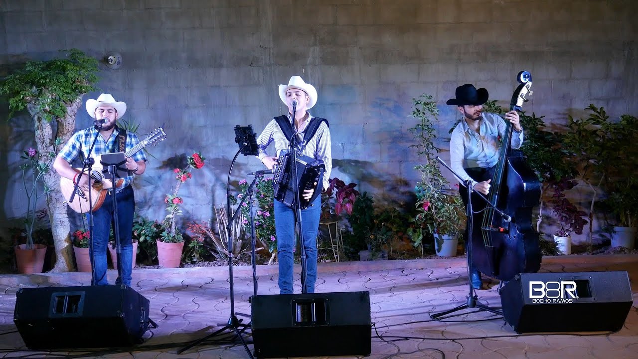 La Costurera / Bocho Ramos / En Vivo / Con Tololoche