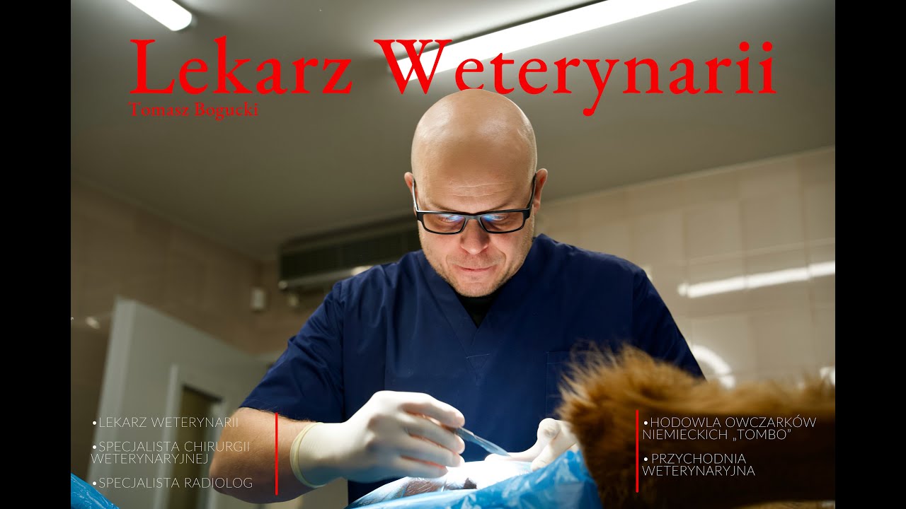 Lekarz Weterynarii , Hodowca Owczarków Niemieckich, Przychodnia Weterynaryjna Dona w Pile