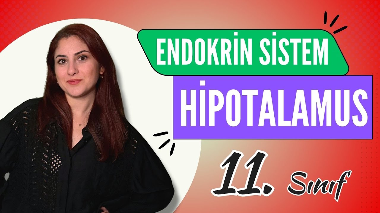 6) HİPOTALAMUS - ENDOKRİN SİSTEM 1 | 11. SINIF | AYT BİYOLOJİ DERS NOTLARI | 2024
