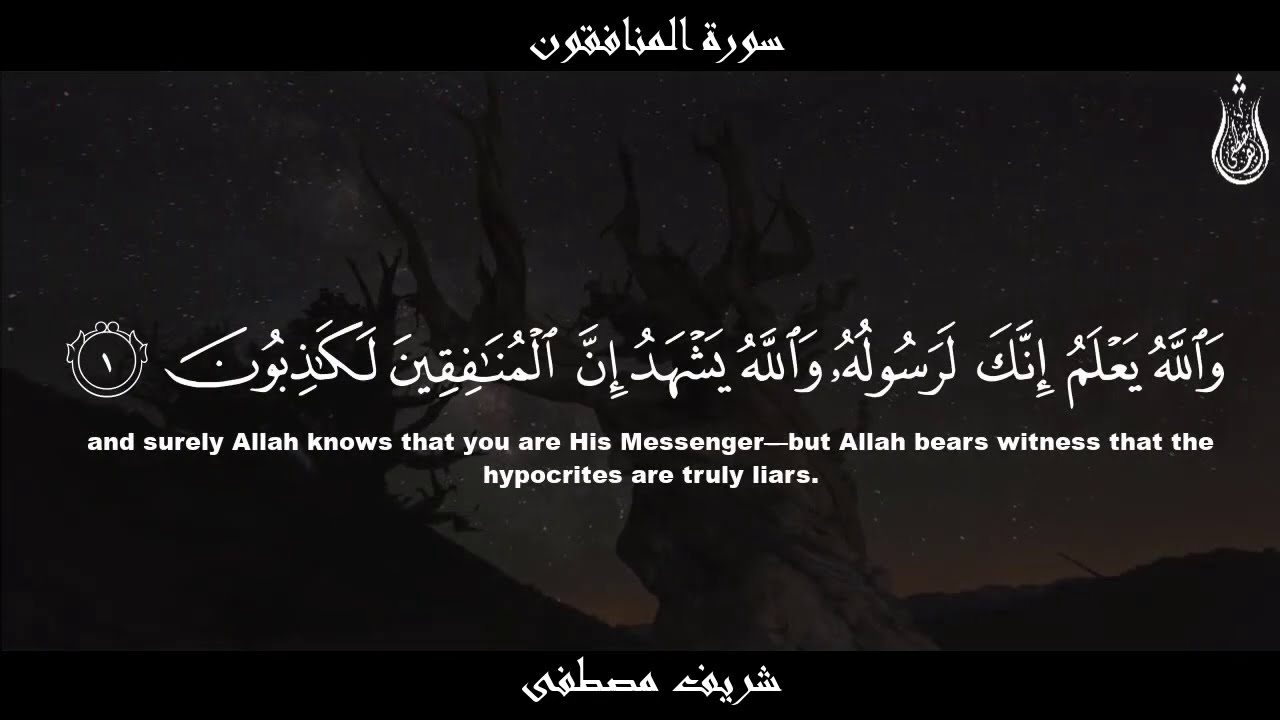 سورة المنافقون - شريف مصطفى || تلاوة خاشعة💔 - Surat Al-Munafiqun
