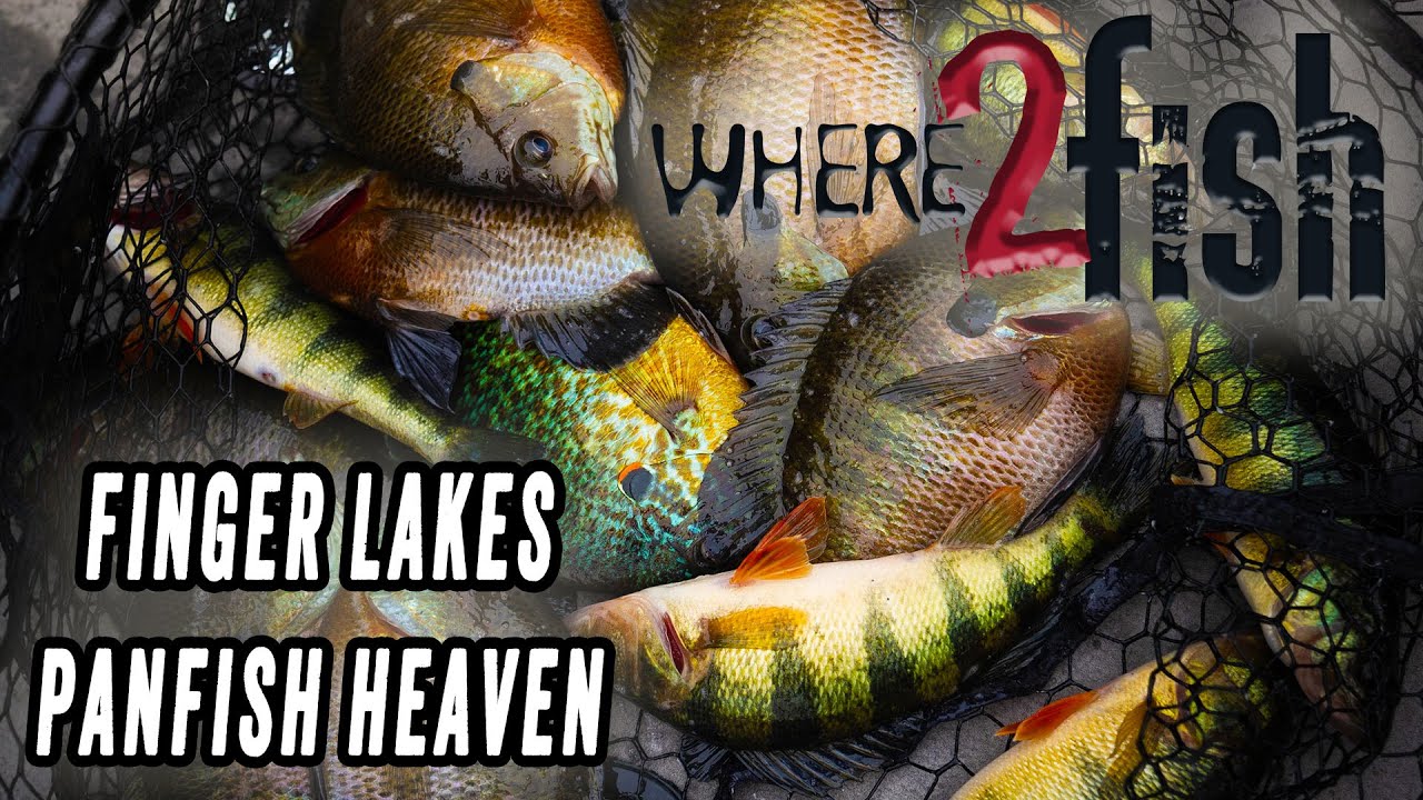 Where2fish - EP2: Multi-Species in the Finger Lakes