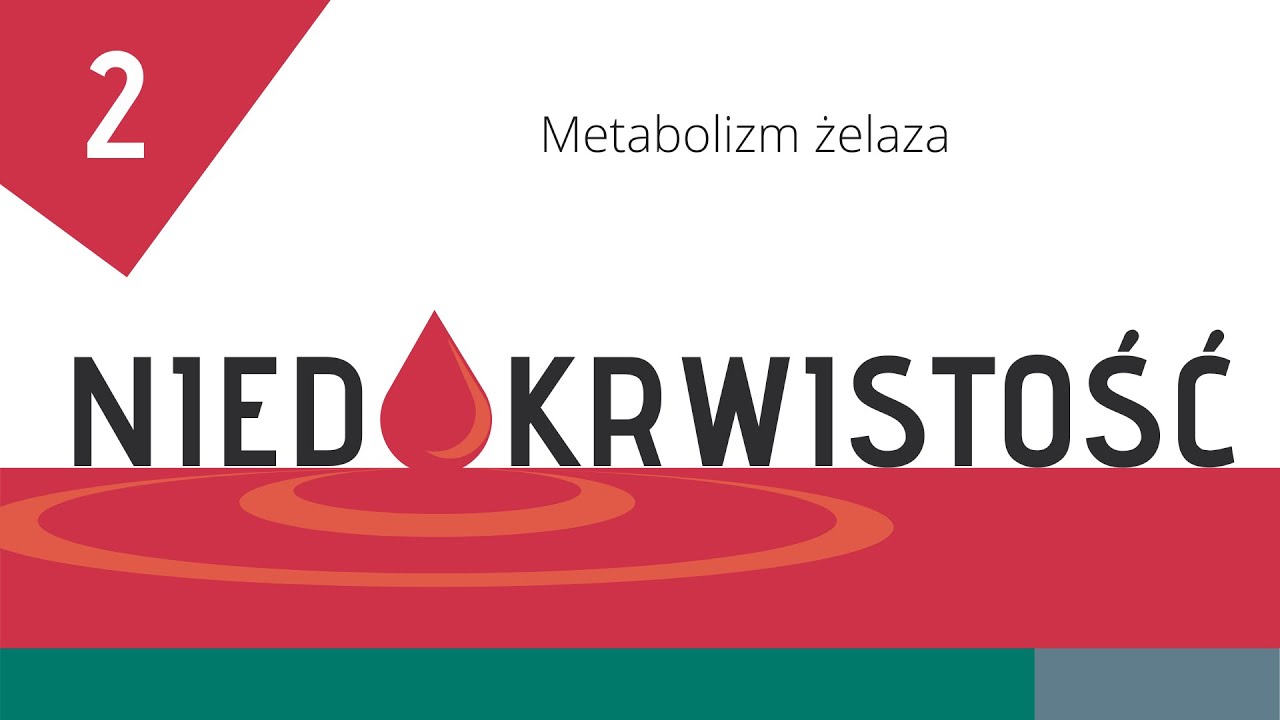 Niedokrwistość cz. 2: Metabolizm żelaza