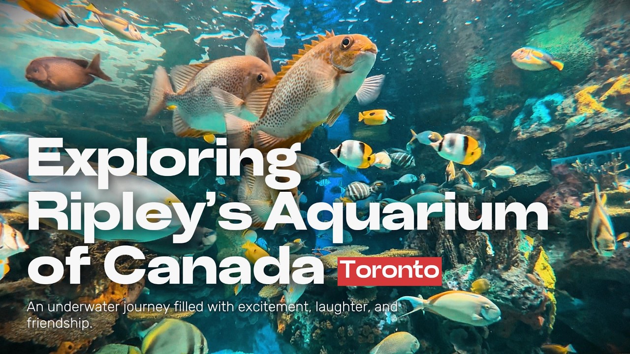 Toronto Vlog | Exploring Ripley’s Aquarium of Canada/ Fun/ Experience/ breathtaking/ Friends