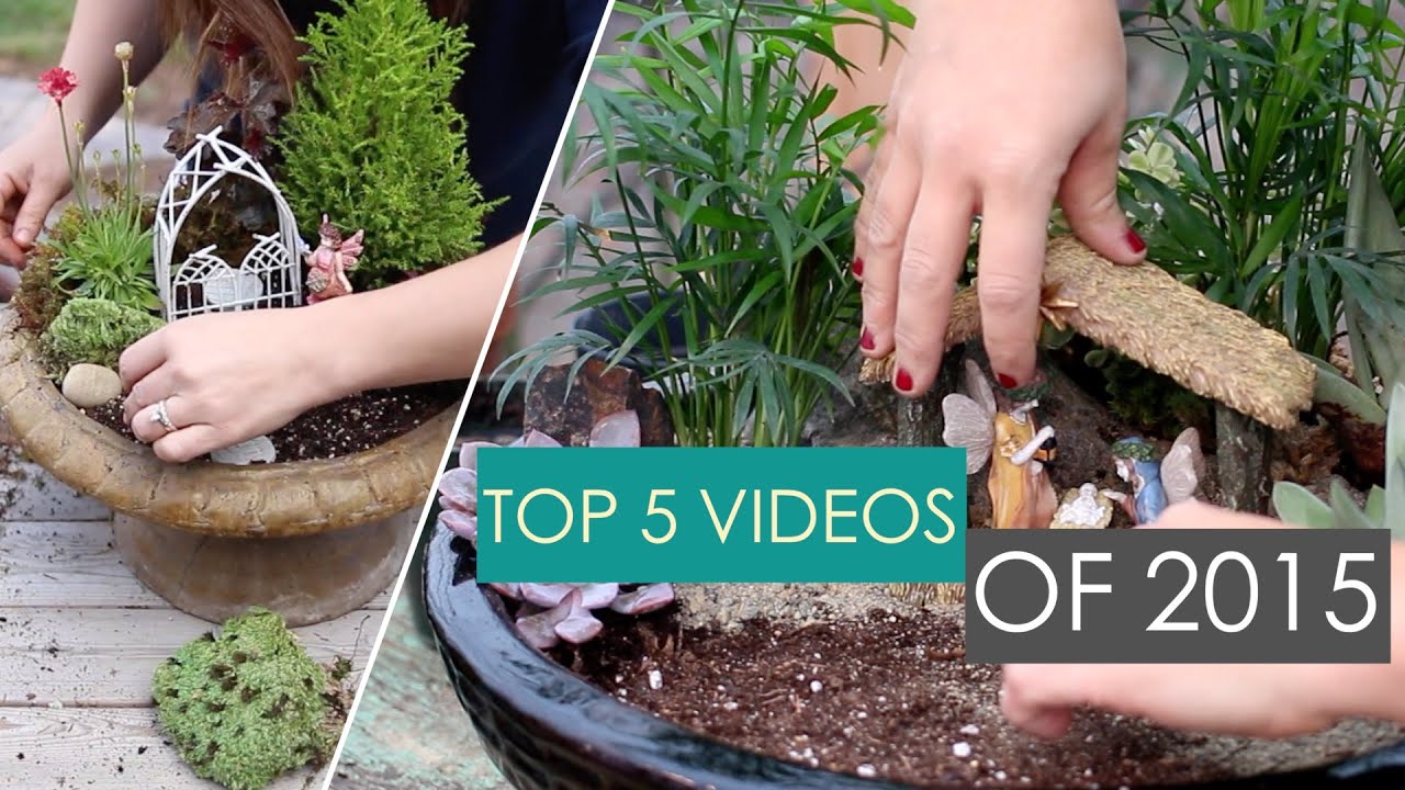 Top 5 Garden Answer Videos of 2015