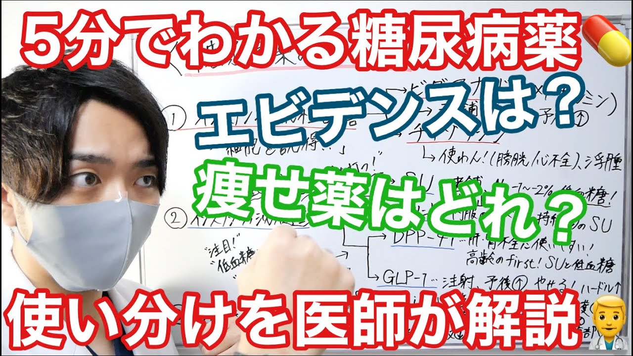 【簡単解説】5分でわかる糖尿病薬💊  【医師の使い分けとは⁈】