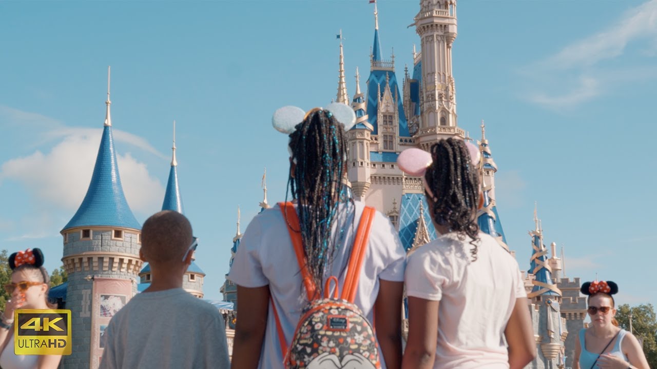 Cinematic Disney World Florida Travel Video || Lumix S5 4K Vlog Davinci Resolve Color Grade
