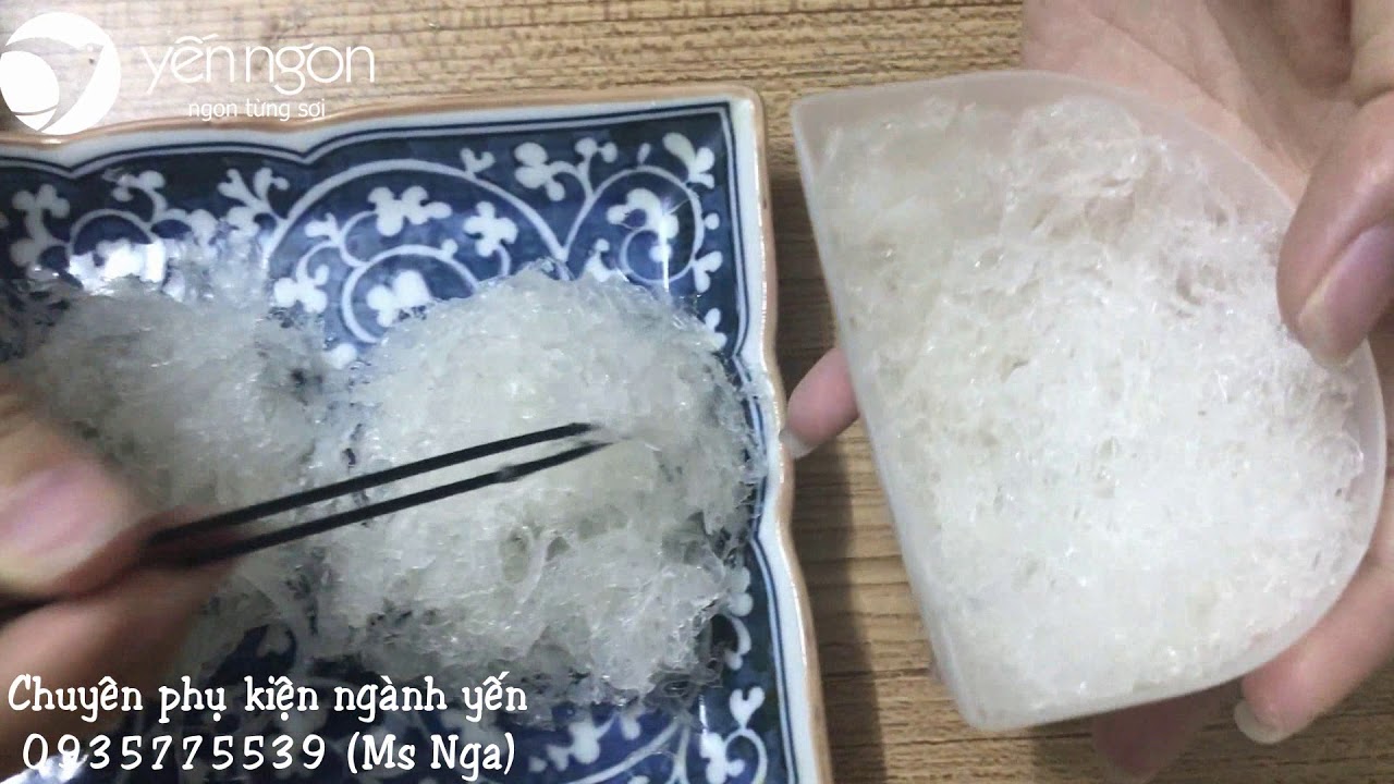 Hướng dẫn xếp tổ yến lên khuôn nhựa by HopYenCaoCap.com