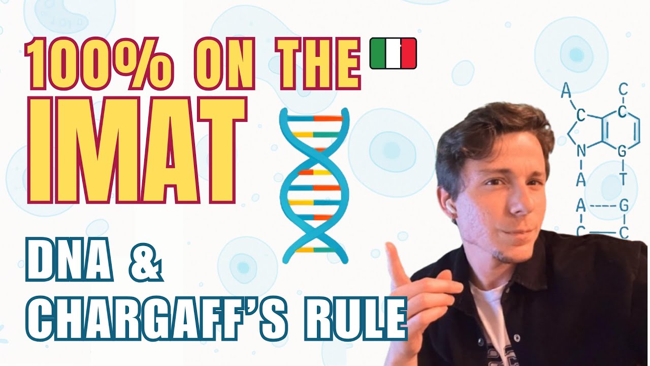 You’ll 100% See This on the IMAT – DNA & Chargaff’s Rule