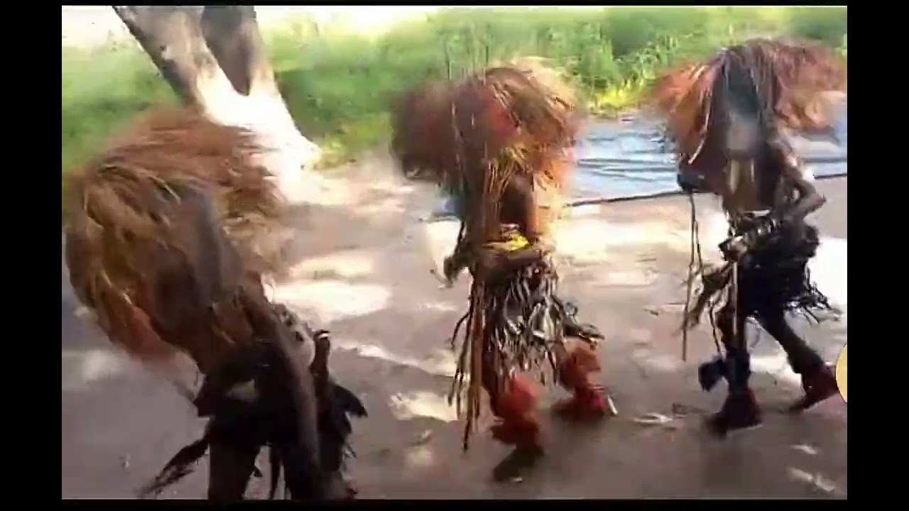 Danse traditionnelle Tchadien 