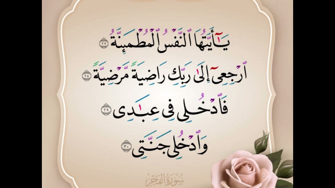 حلم النفس المطمئنة -٢