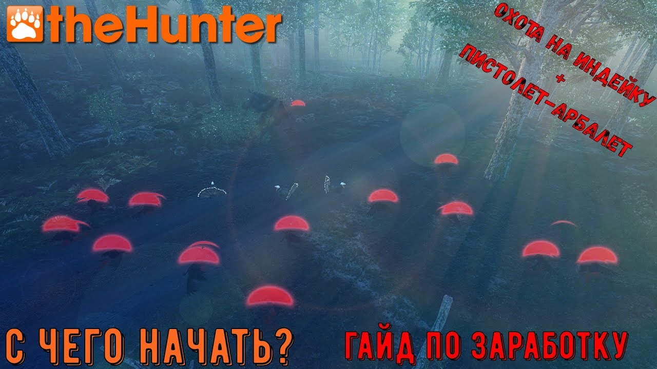 ♢ theHunter Classic ♢ как заработать ♢ гайд по заработку игровой валюты ♢