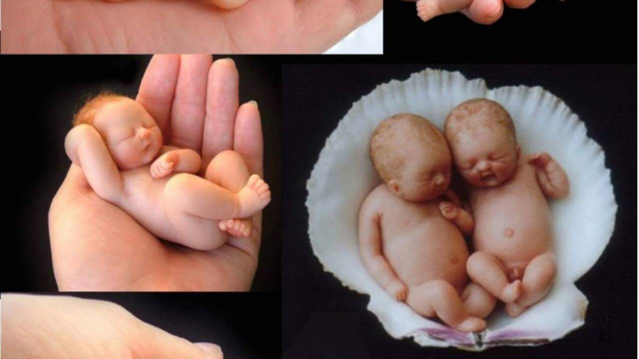 Angel gowns and wraps