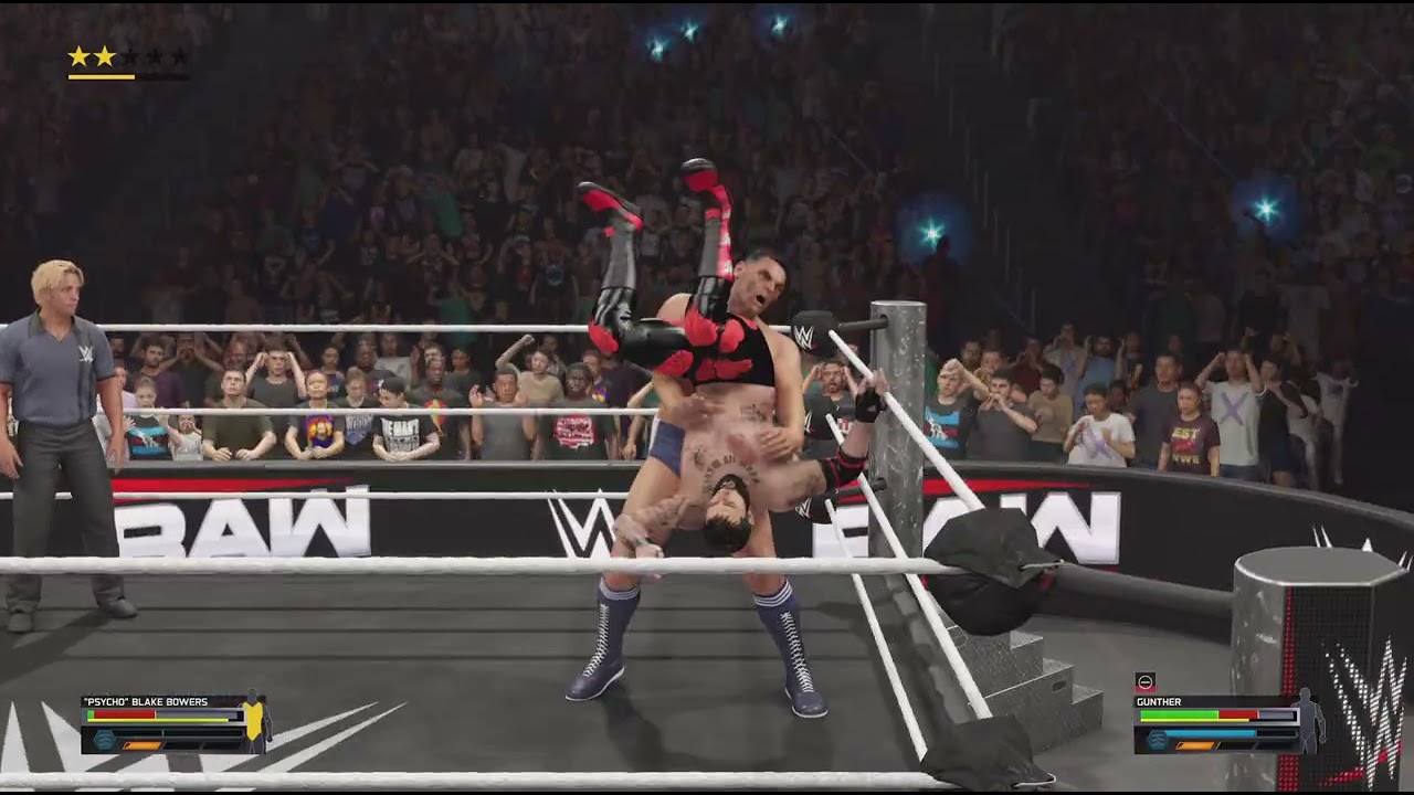 Mid match brawl
