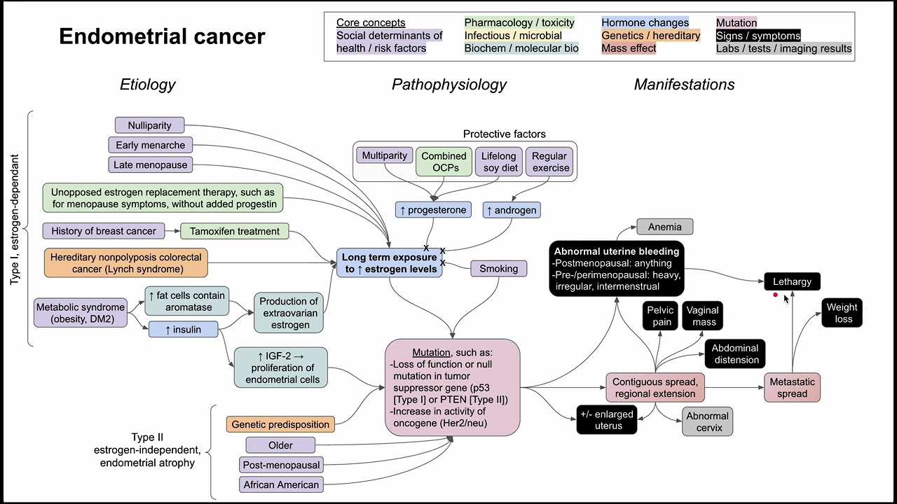 Endometrial cancer (mechanism of disease)