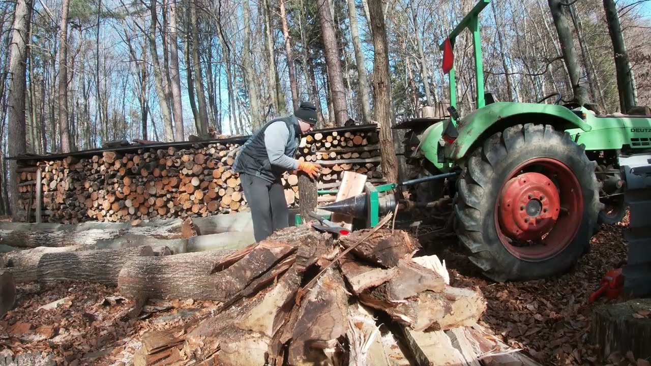 Work in the woods