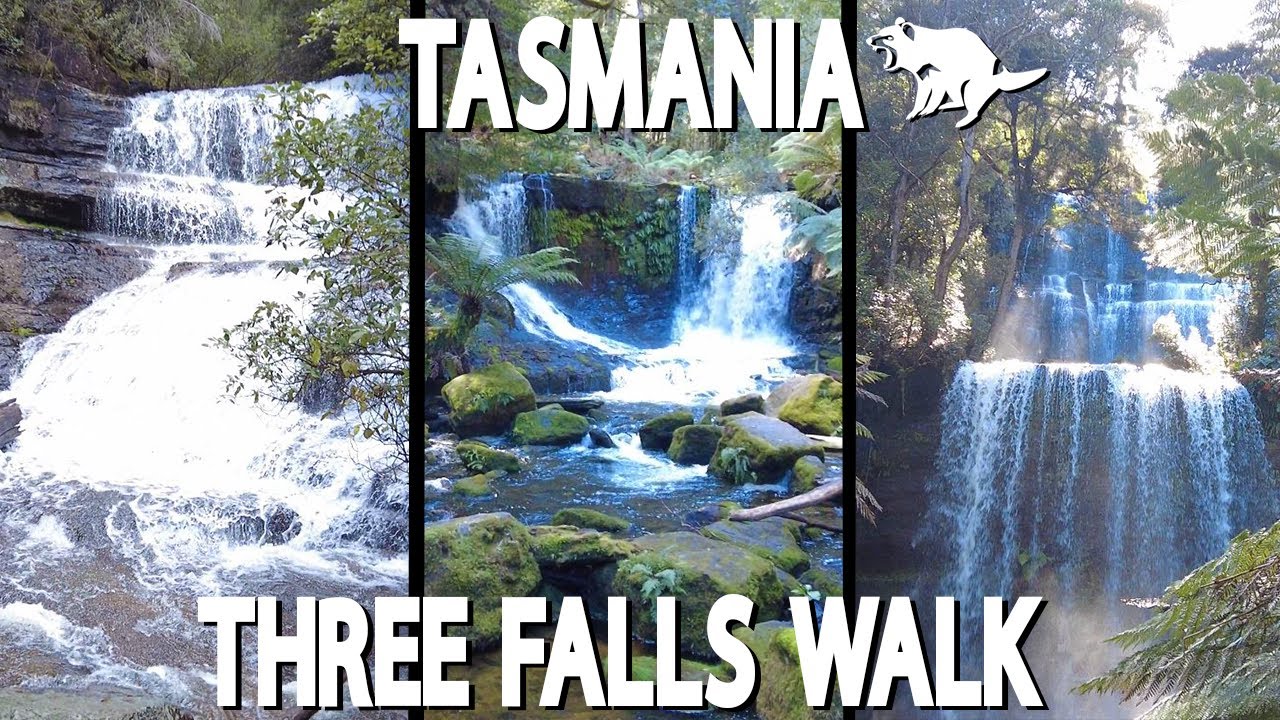 Must Visit Locations in TASMANIA - MOUNT FIELD WATERFALLS