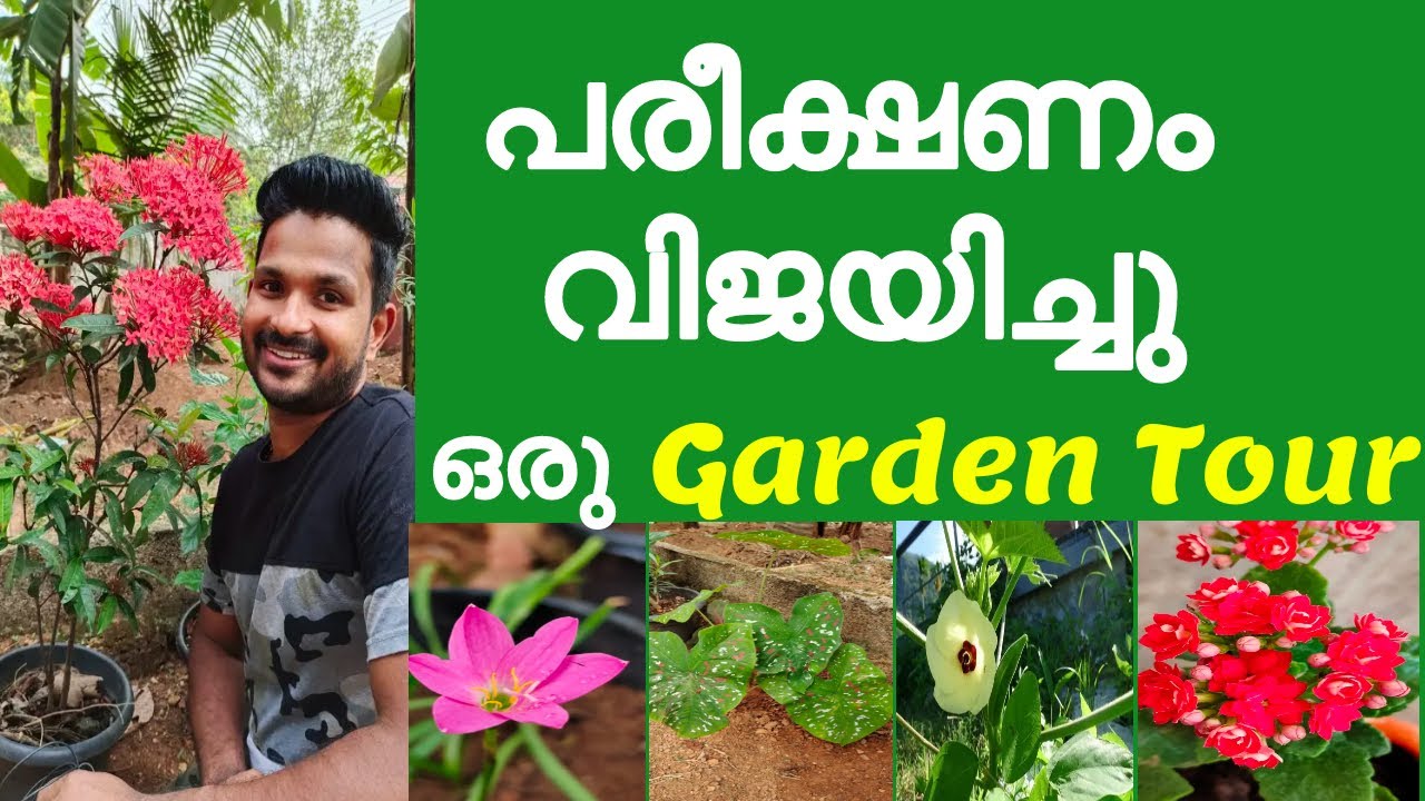 എൻ്റെ പച്ചക്കറി കൃഷിയും, പൂന്തോട്ടവും ഒന്നു കണ്ടാലോ#My home garden tour#flowering  plants#vegetable