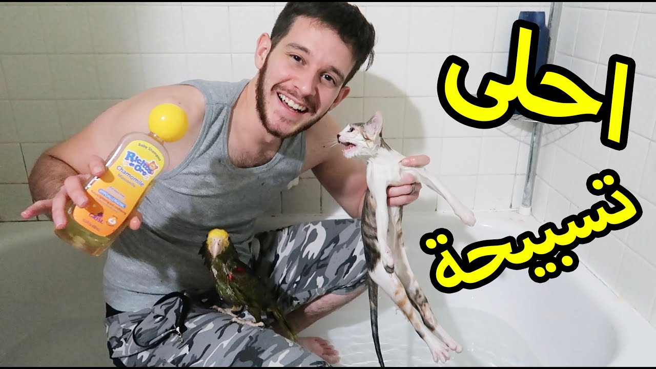 شيصير اذا قطة وببغاء يسبحون سوا لاول مرة؟ سبحان الله!!