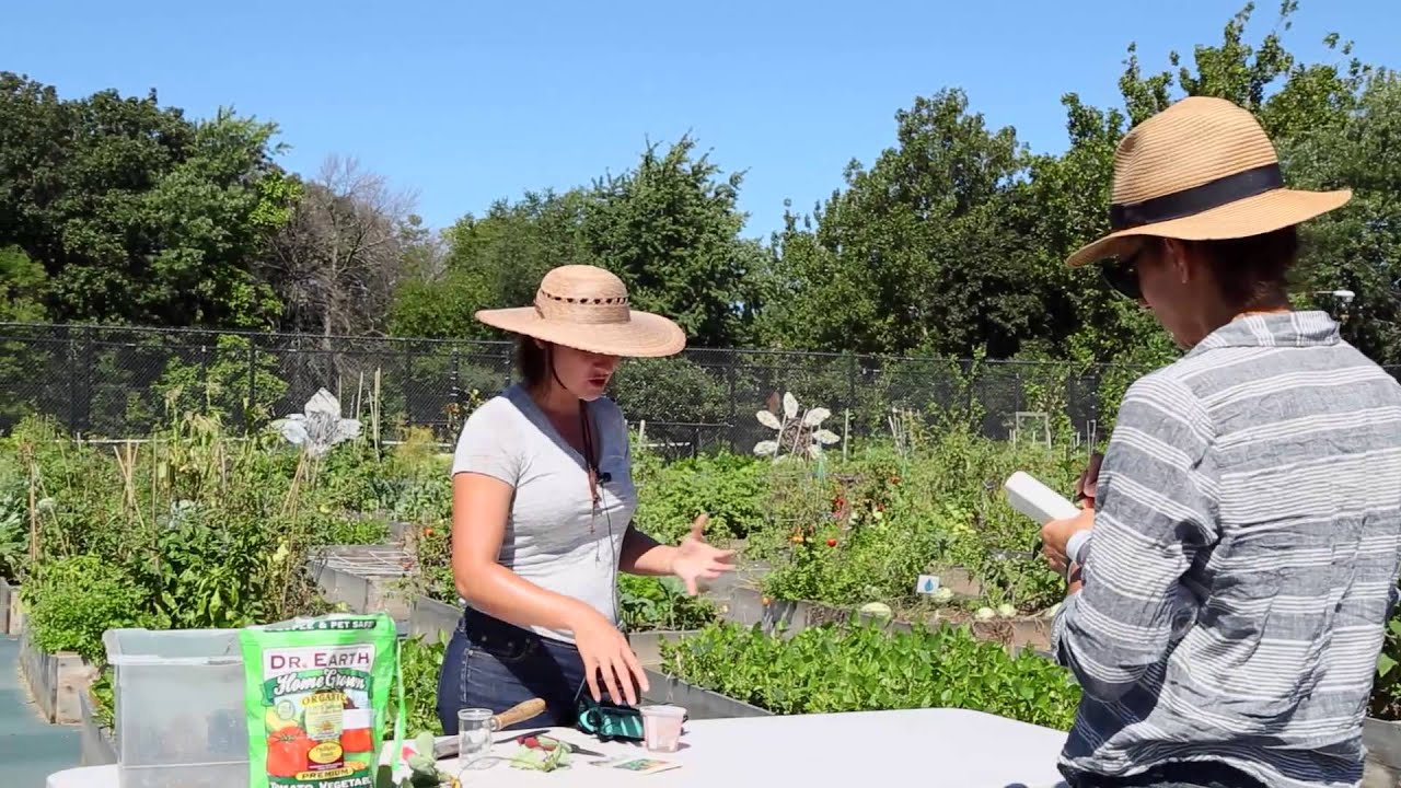 Environmental Education in a Community Garden Setting