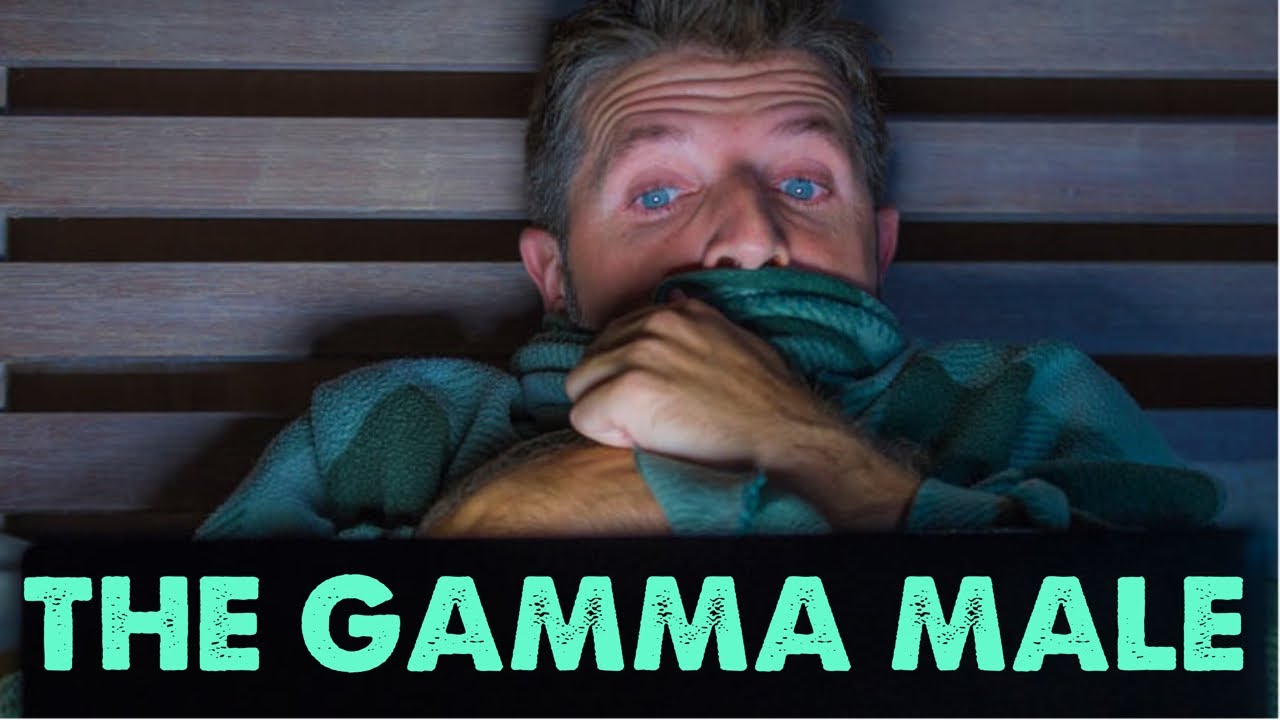 The mysterious world of the Gamma Male. Why is it the male sign people  Are scared to talk about?