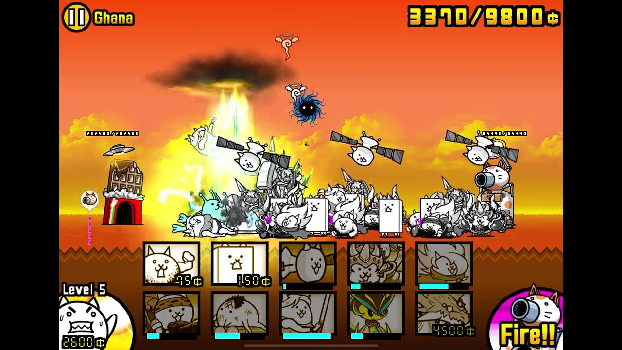 USING CRAZED CAT (ep 5)