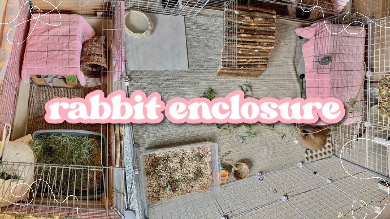 bunny room tour | rabbit pen setup