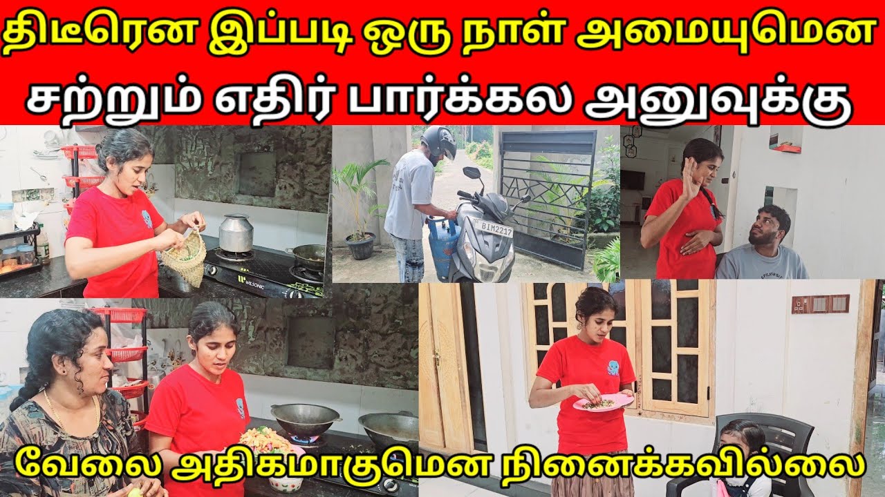 திடீரென இப்படி ஒரு நாள் அமையுமென சற்றும் எதிர்பார்க்கல jaffna vlog |angel view ❤️❤️❤️