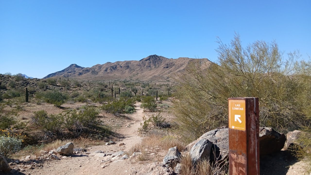 Back at South Mountain for another training hike for the Arizona Trail. 
