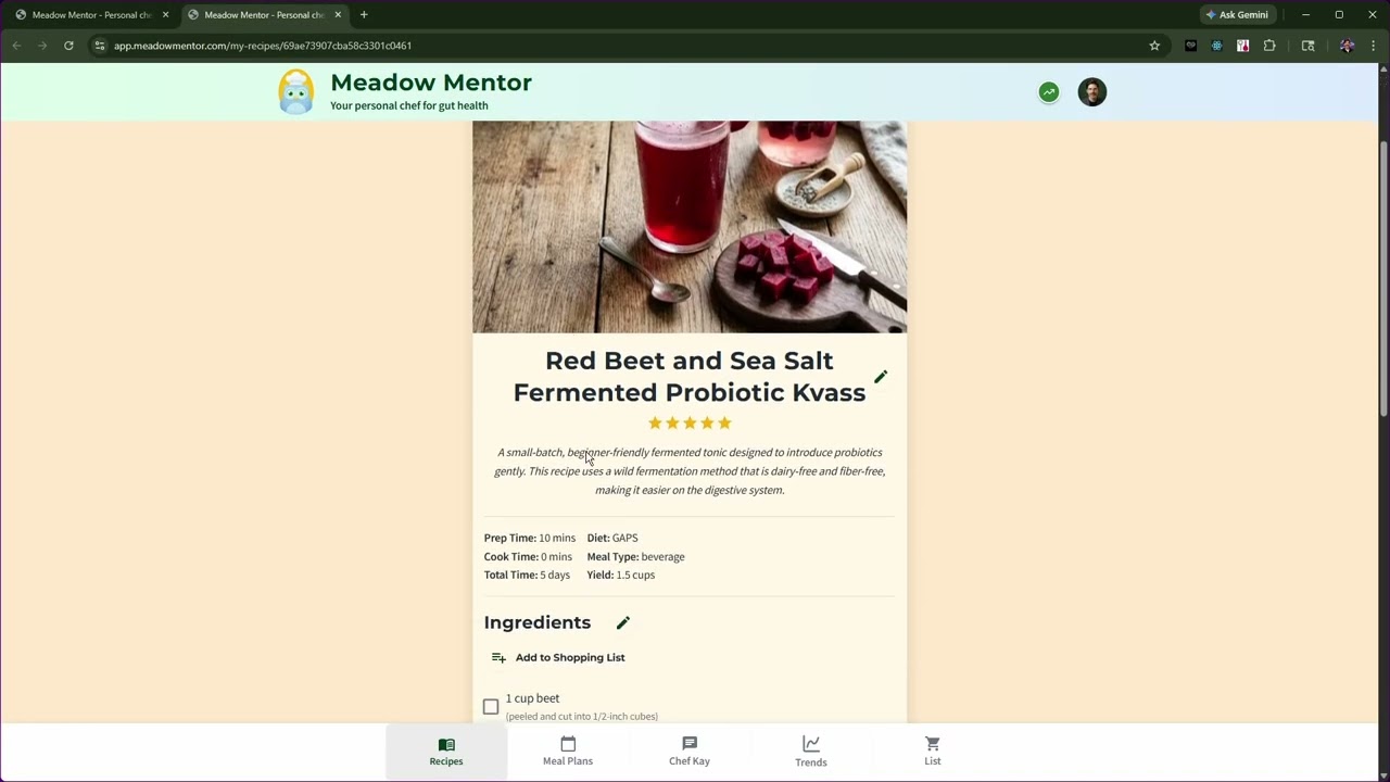 Seeking testers for Meadow Mentor