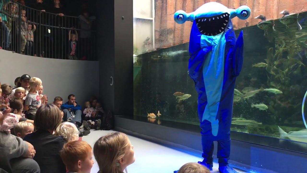 Hammerhajen HIK på den Blå planet