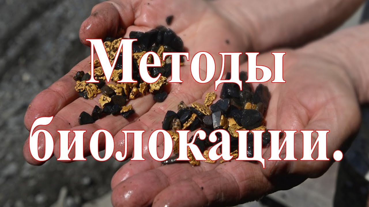 Поиск с помощью биолокации. Методы биолокации.