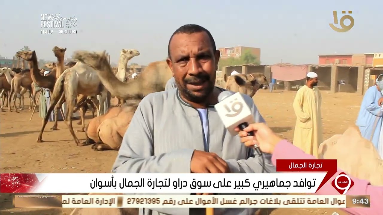 أسوان تضيف مقصدا سياحيا جديدا من سوق دراو لتجارة الجمال