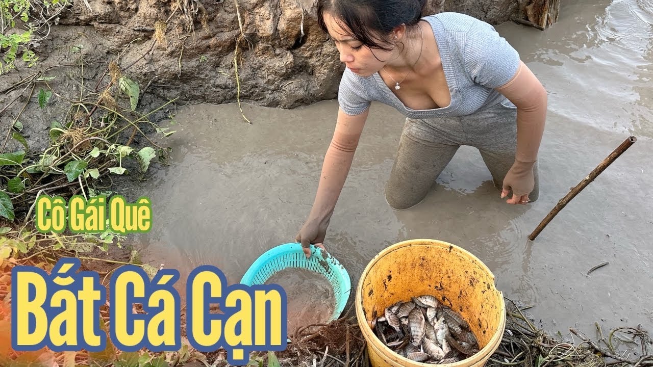 Cô Gái Quê ✅ Tiếp Tục ra đồng bắt cá cạn sau nhiều ngày nghĩ Tết.