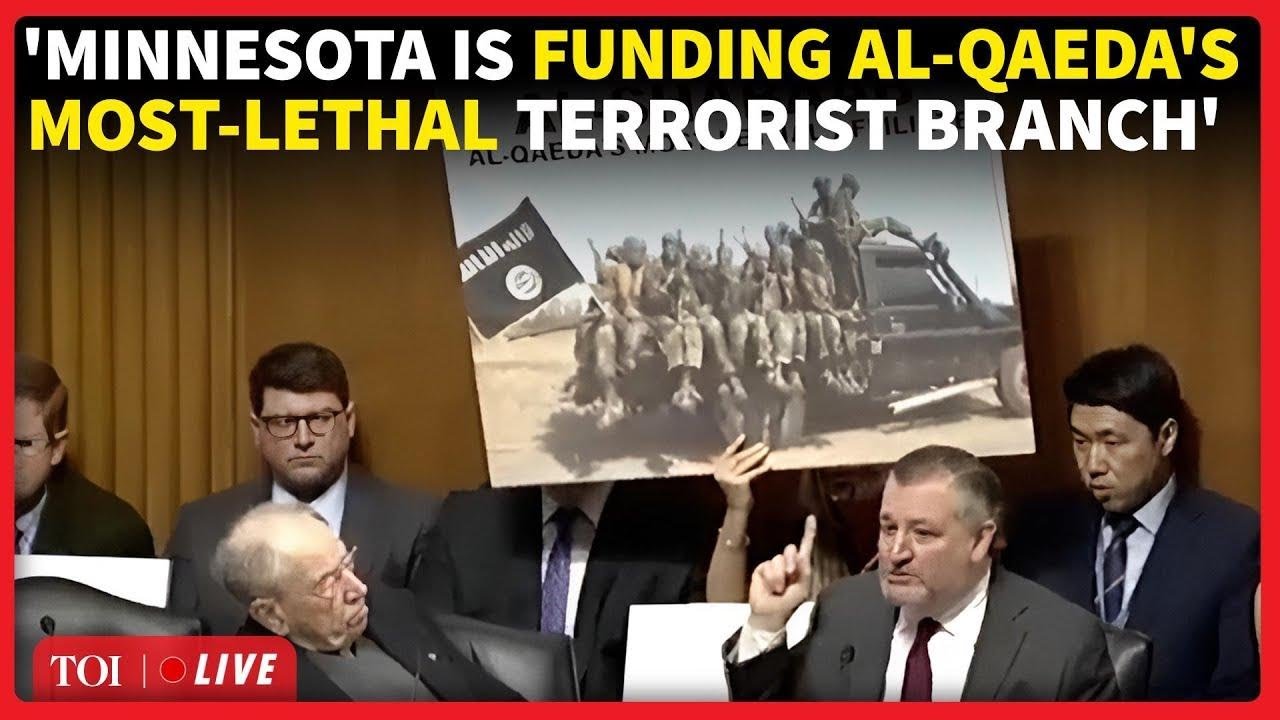 'Tim Walz, You Were Warned - Not Anymore': Ted Cruz Drops 'Confidential' Details Of Minnesota Fraud