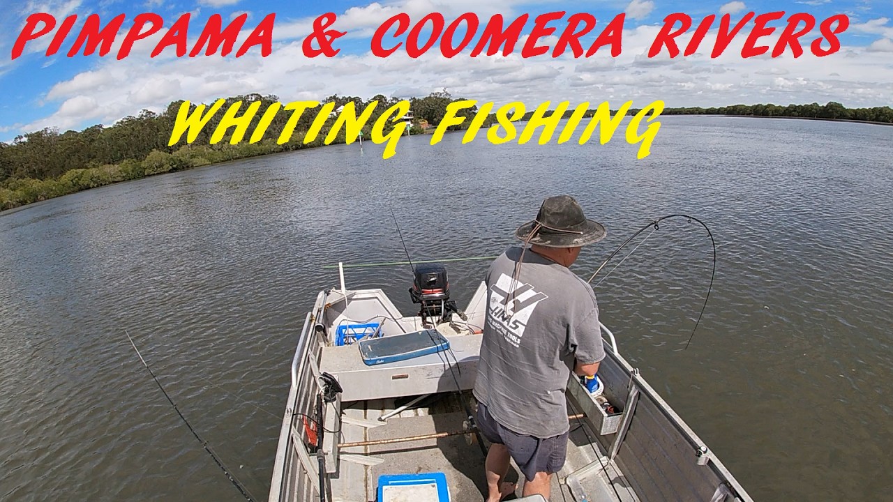 Fishing Pimpama & Coomera Rivers 7th Nov 2025