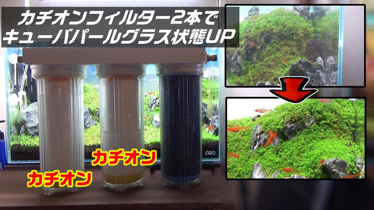 【アクアリウム】カチオンフィルターをダブルにするとキューバパールグラスは綺麗に育つのか？#水草水槽 #aquarium #ネイチャーアクアリウム #カチオンフィルター#軟水