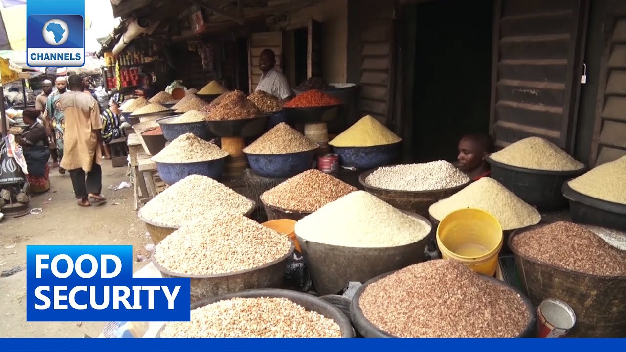 Scholars Deliberate On Tackling Food Insecurity In The North East