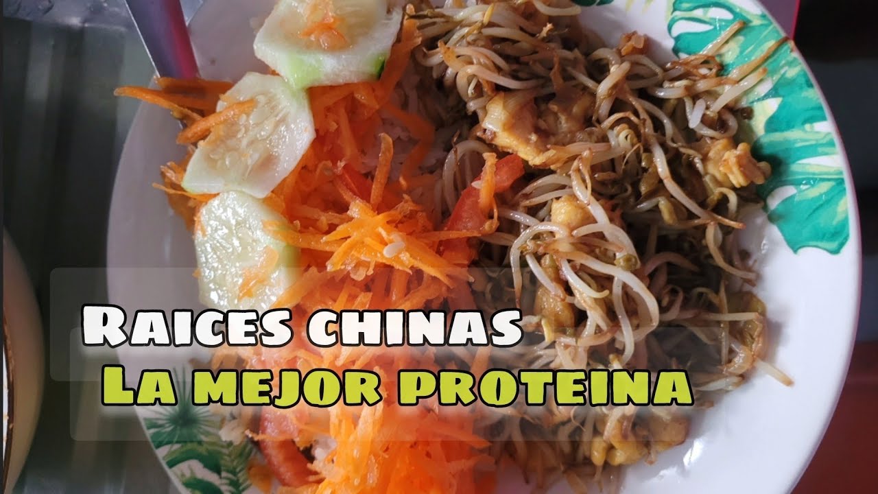 Raizes chinas con pollo