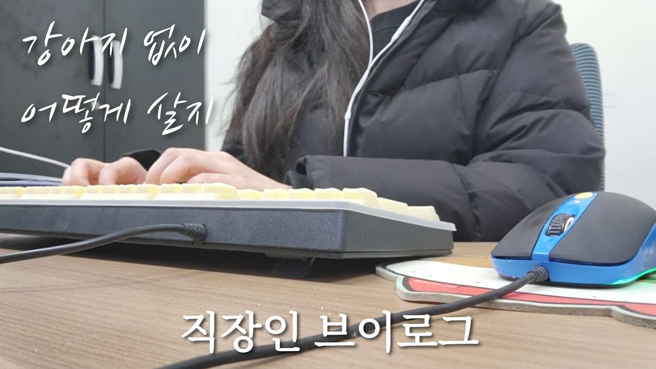 [VLOG] 직장인 브이로그 | 중소기업 사무직 | 사무직 브이로그 | 경리 브이로그 | 강아지 | 반려동물