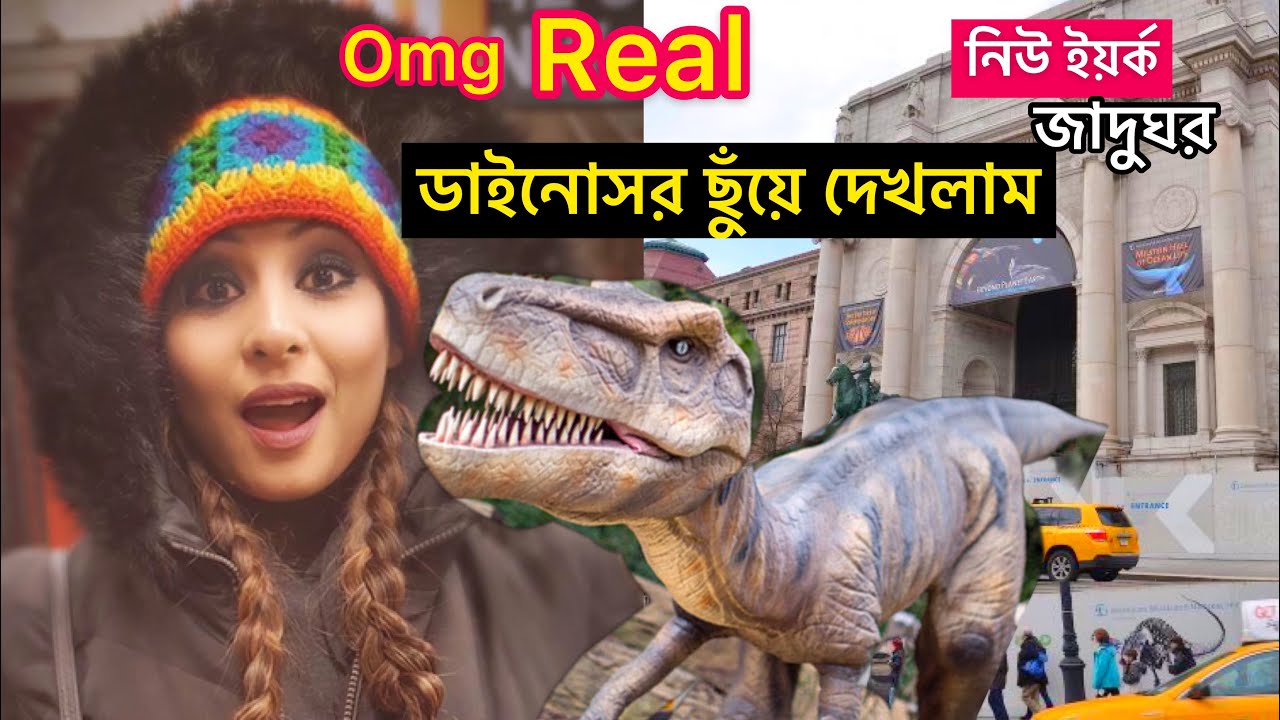 আমেরিকার জাদুঘরের Real ডাইনোসর দেখুন😱American Museum of Natural History