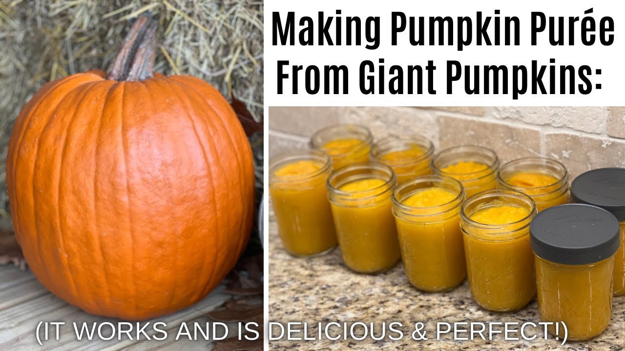 Can A Giant Jack-O'-Lantern Pumpkin Be Turned Into Puree For Baking?!? Let's Find Out!
