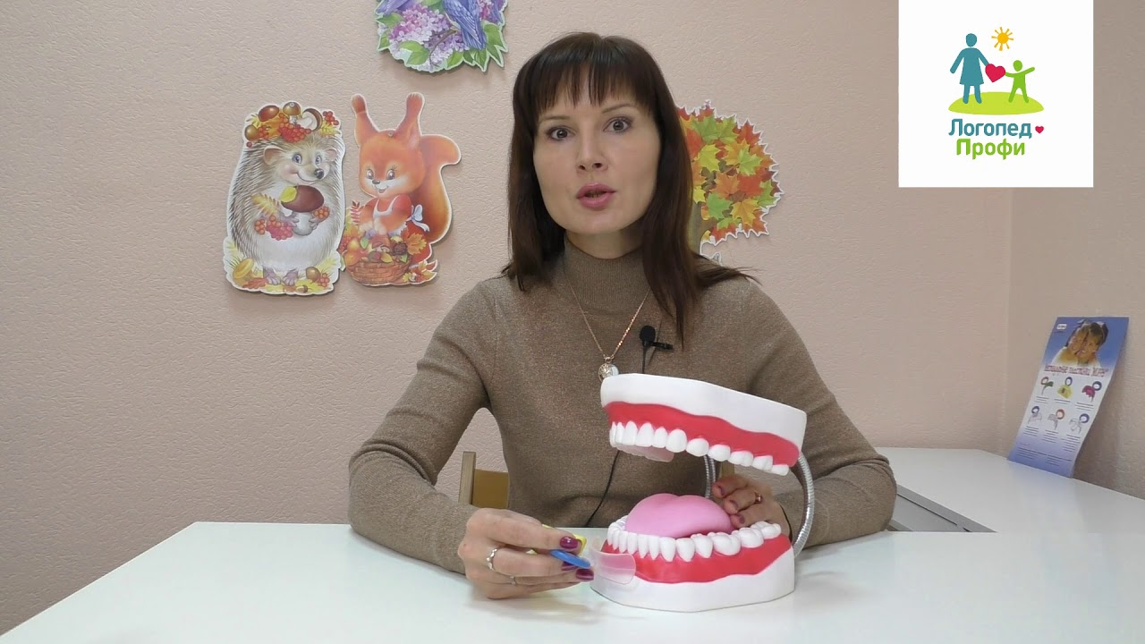 Как пользоваться вестибулярными пластинками. Стандартный вариант