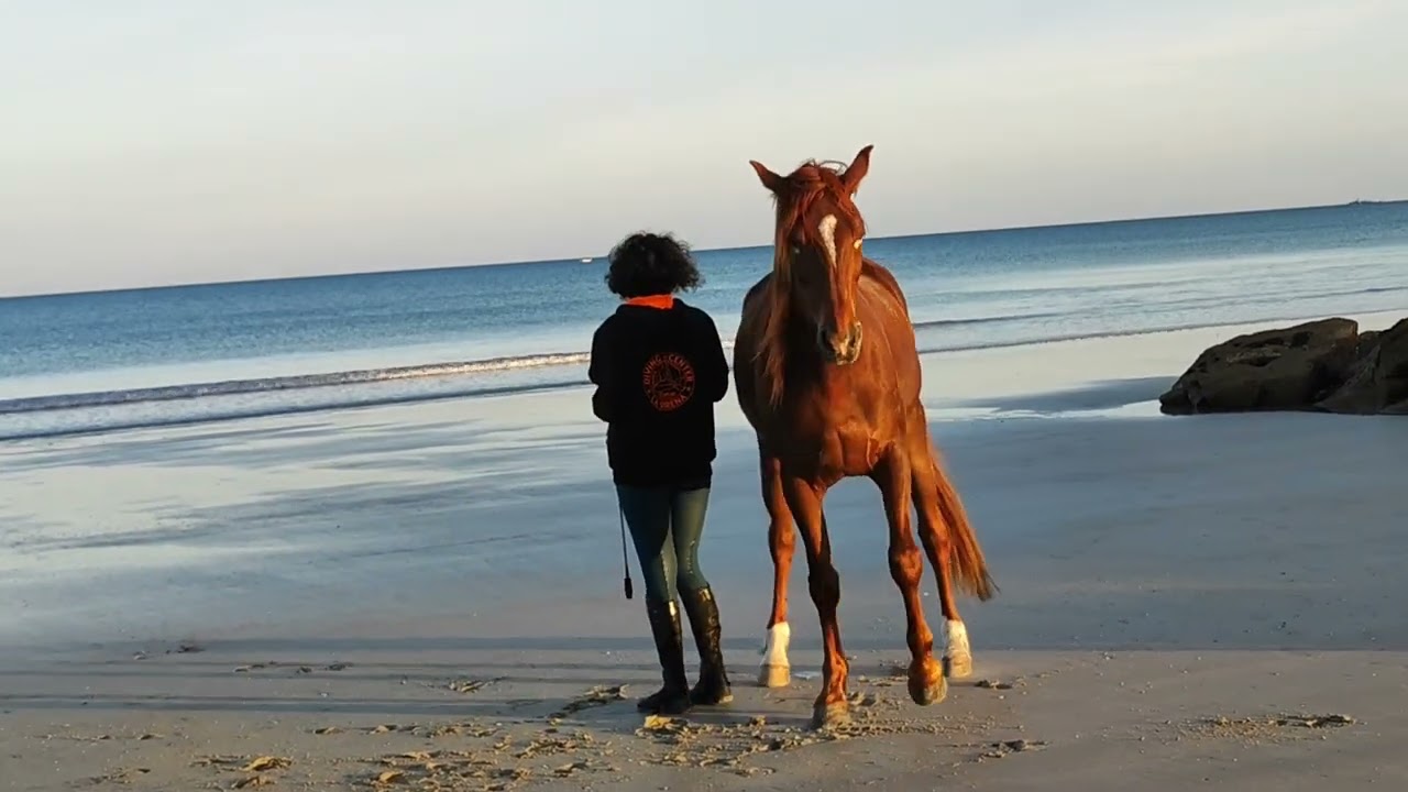 Pas d'ami comme toi- Liberté plage un soir de 1er mai -Filou de Trotteur