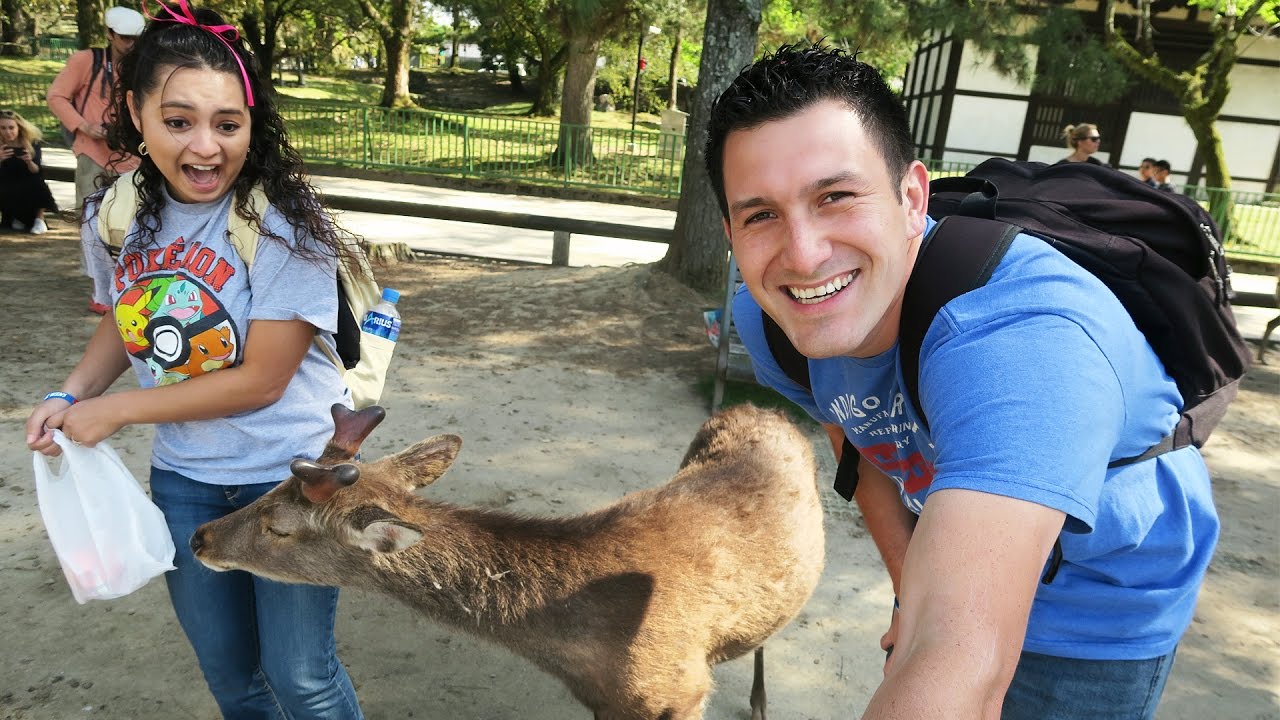 The deer tried to EAT her!