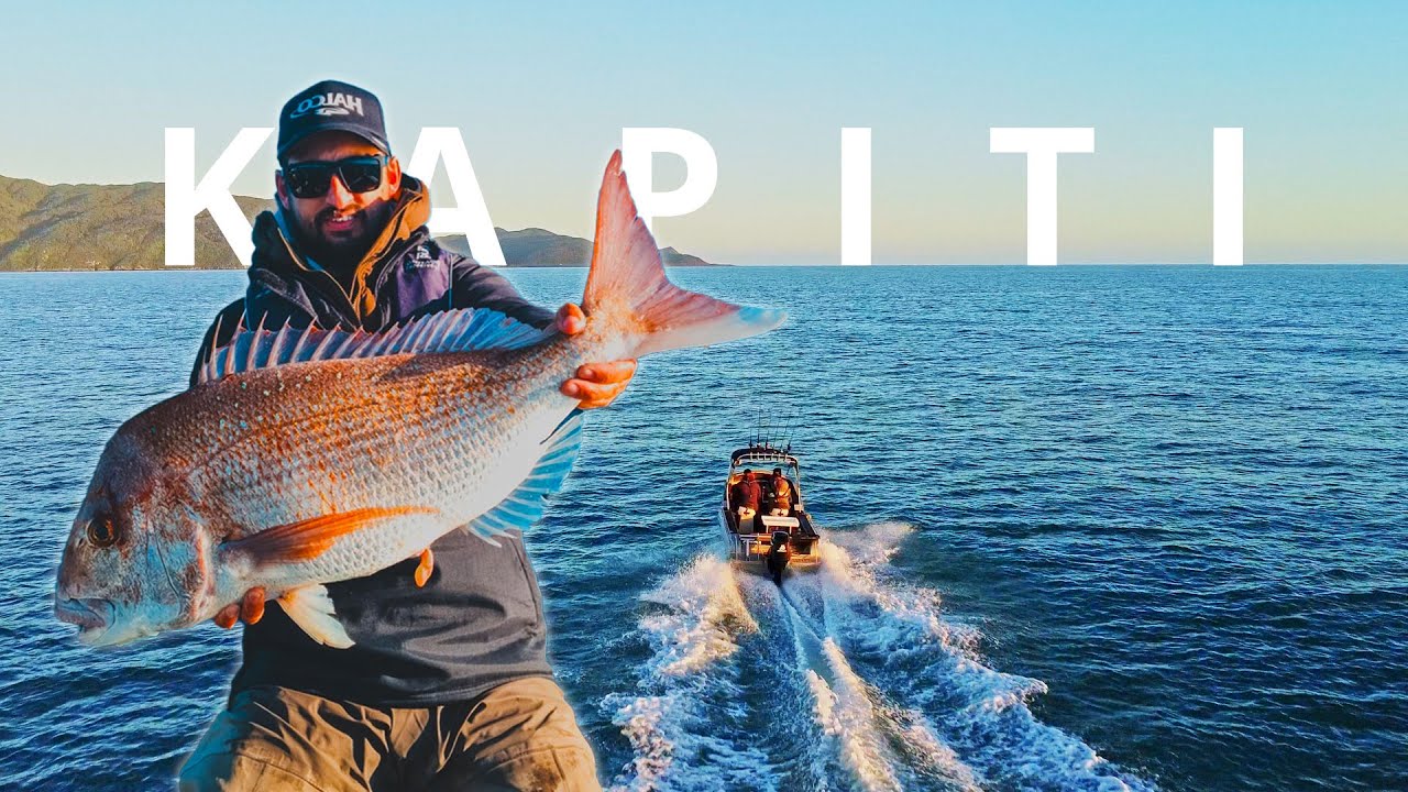 Catcing Snapper Around Kapiti Island! - Hayabusa Free Slider Mission #1