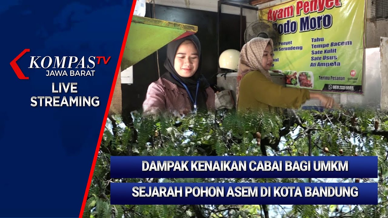 LIVE KOMPAS JABAR: Dampak Cabai Naik ke Pedagang Ayam Geprek Hingga Sejarah Pohon Asem di Bandung